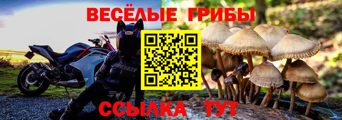 Псилоцибиновые грибы ЛСД  Вход с VPN  Сафоново 